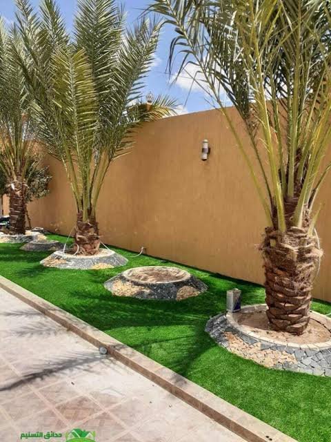 صورة المشروع 12